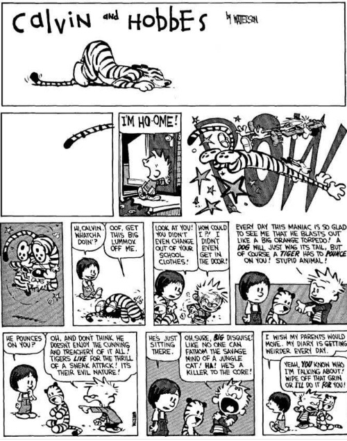 Susie Always Has a Funny Take on Calvin | image tagged in calvin and hobbes | made w/ Imgflip meme maker