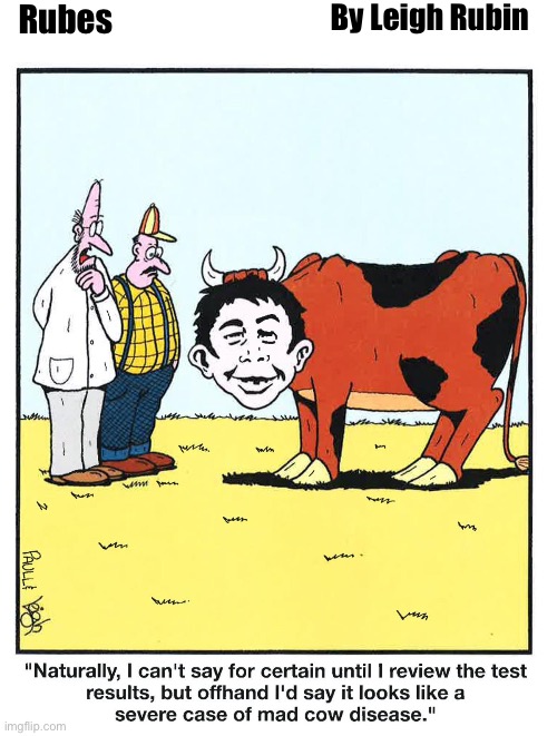 “What, me worry?” | Rubes; By Leigh Rubin | image tagged in comics,rubes,mad cow disease,alfred e neuman,veterinarian | made w/ Imgflip meme maker