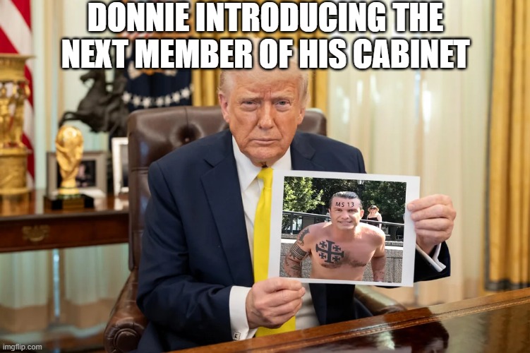 New Cabinet Member | DONNIE INTRODUCING THE NEXT MEMBER OF HIS CABINET | image tagged in trump,trump cabinet | made w/ Imgflip meme maker