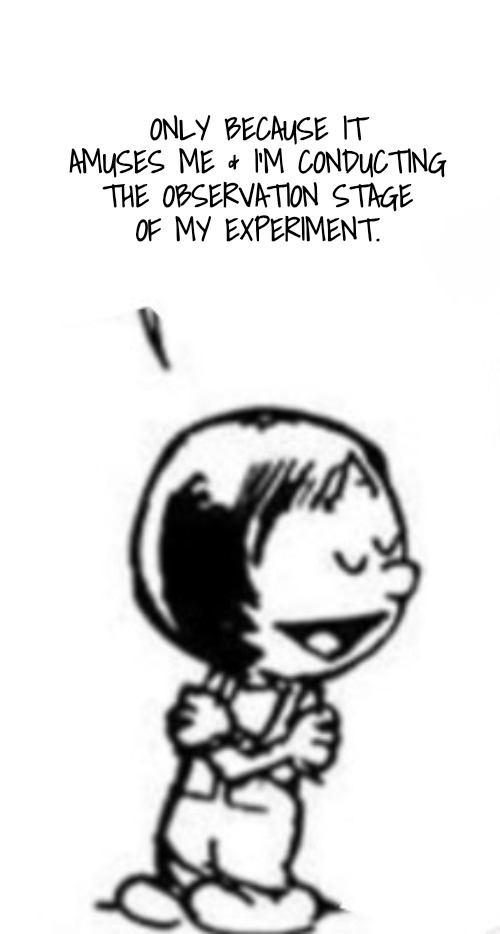 Susie commentary | ONLY BECAUSE IT AMUSES ME & I'M CONDUCTING THE OBSERVATION STAGE
OF MY EXPERIMENT. | image tagged in susie commentary | made w/ Imgflip meme maker