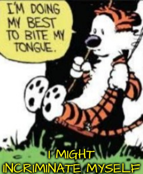 Trying not to say anything | I MIGHT INCRIMINATE MYSELF | image tagged in trying not to say anything | made w/ Imgflip meme maker