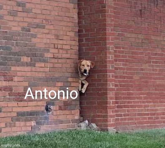 Antonio | made w/ Imgflip meme maker