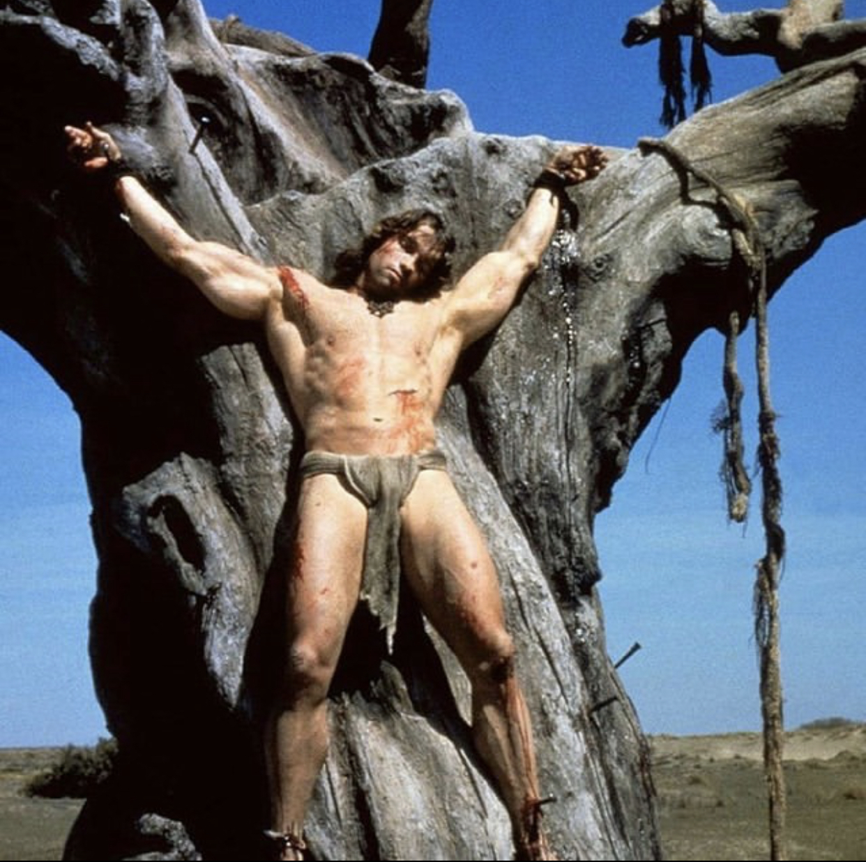 Arnold on the Cross Blank Meme Template