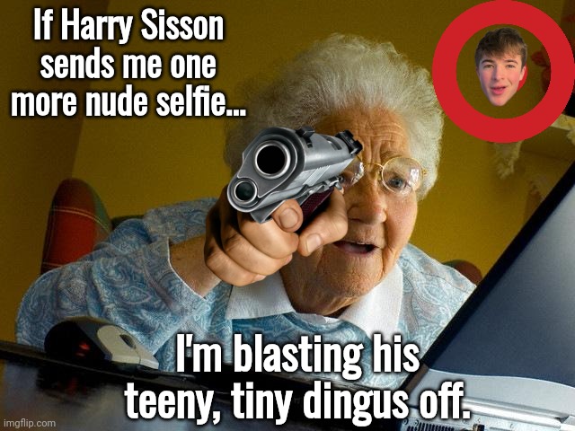 Harry Sisson sends grannies nudes | If Harry Sisson sends me one more nude selfie... I'm blasting his teeny, tiny dingus off. | image tagged in memes,grandma finds the internet,horny harry | made w/ Imgflip meme maker