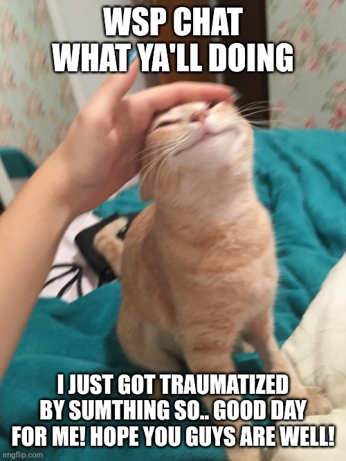 I regret looking up that fan Manga after seeing that vid.. | WSP CHAT WHAT YA'LL DOING; I JUST GOT TRAUMATIZED BY SUMTHING SO.. GOOD DAY FOR ME! HOPE YOU GUYS ARE WELL! | image tagged in cat pat | made w/ Imgflip meme maker