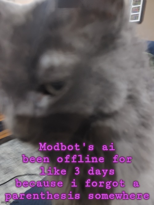 . | Modbot's ai been offline for like 3 days because i forgot a parenthesis somewhere | image tagged in 32's cat | made w/ Imgflip meme maker