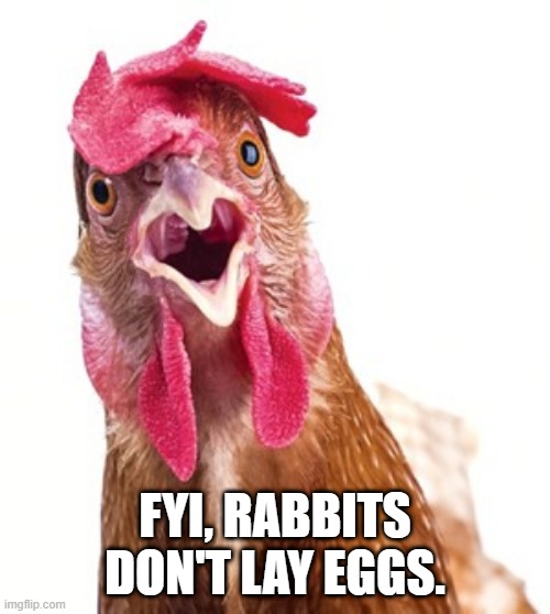 FYI, RABBITS DON'T LAY EGGS. | image tagged in easter bunny | made w/ Imgflip meme maker