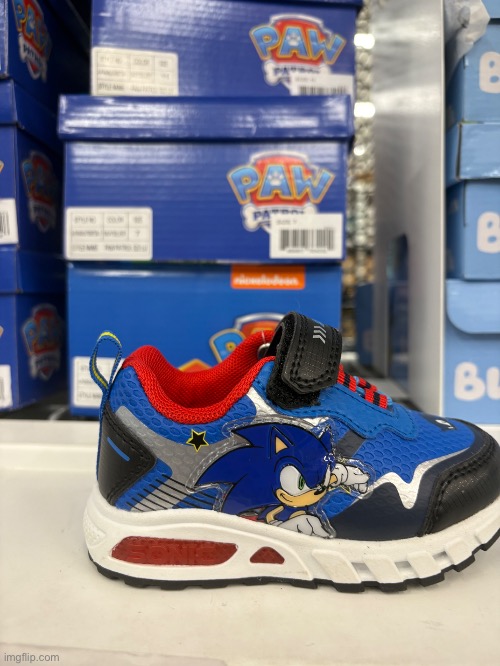 Look at the boxes | image tagged in you had one job,sonic the hedgehog,paw patrol,shoes | made w/ Imgflip meme maker