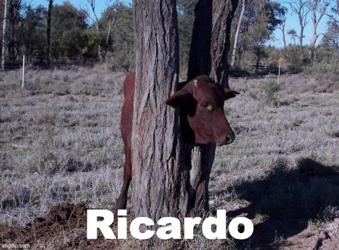 ricardo | Ricardo | image tagged in ricardo | made w/ Imgflip meme maker