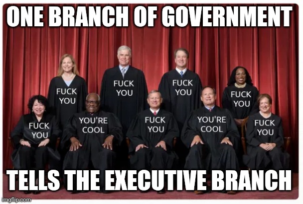 Supreme Egoists | ONE BRANCH OF GOVERNMENT; TELLS THE EXECUTIVE BRANCH | image tagged in politics | made w/ Imgflip meme maker