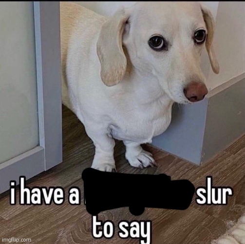 I have a homophobic slur to say | image tagged in i have a homophobic slur to say | made w/ Imgflip meme maker