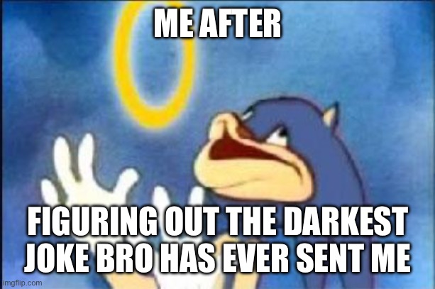 Ay caramba | ME AFTER; FIGURING OUT THE DARKEST JOKE BRO HAS EVER SENT ME | image tagged in sonic derp,sonic,memes | made w/ Imgflip meme maker