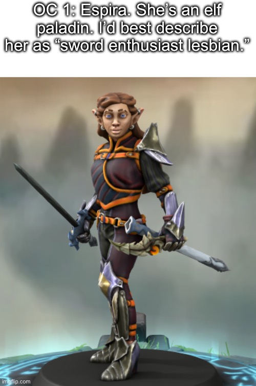 OC 1: Espira. She’s an elf paladin. I’d best describe her as “sword enthusiast lesbian.” | made w/ Imgflip meme maker