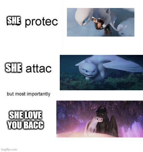Light Fury is such a queen, change my mind | SHE; SHE; SHE LOVE YOU BACC | image tagged in he protec he attac but most importantly,how to train your dragon 3 | made w/ Imgflip meme maker