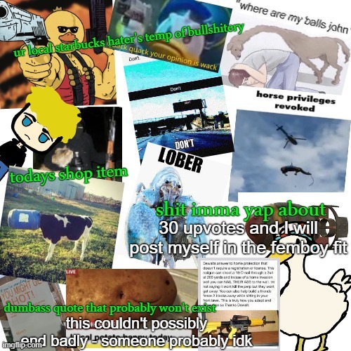 temp of bullshitery | 30 upvotes and I will post myself in the femboy fit; this couldn't possibly end badly - someone probably idk | image tagged in temp of bullshitery | made w/ Imgflip meme maker