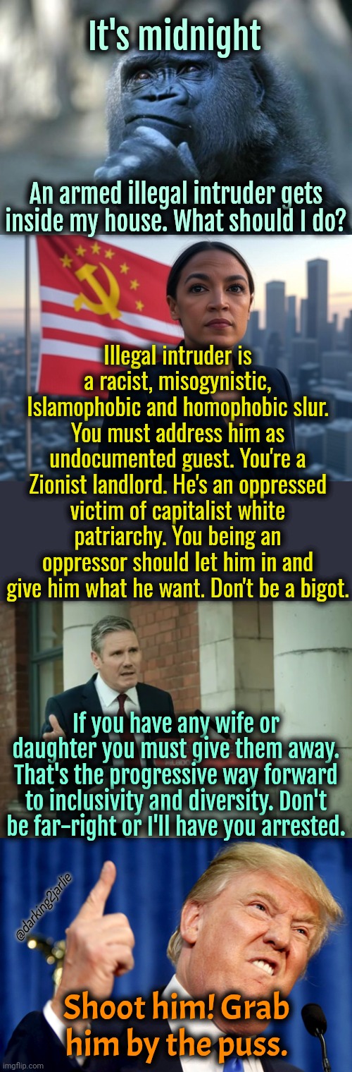 what would you do? I hope you're not a racist. | It's midnight; An armed illegal intruder gets inside my house. What should I do? Illegal intruder is a racist, misogynistic, Islamophobic and homophobic slur. You must address him as undocumented guest. You're a Zionist landlord. He's an oppressed victim of capitalist white patriarchy. You being an oppressor should let him in and give him what he want. Don't be a bigot. If you have any wife or daughter you must give them away. That's the progressive way forward to inclusivity and diversity. Don't be far-right or I'll have you arrested. @darking2jarlie; Shoot him! Grab him by the puss. | image tagged in supreme leader aoc,donald trump,liberal logic,liberals,democrats | made w/ Imgflip meme maker