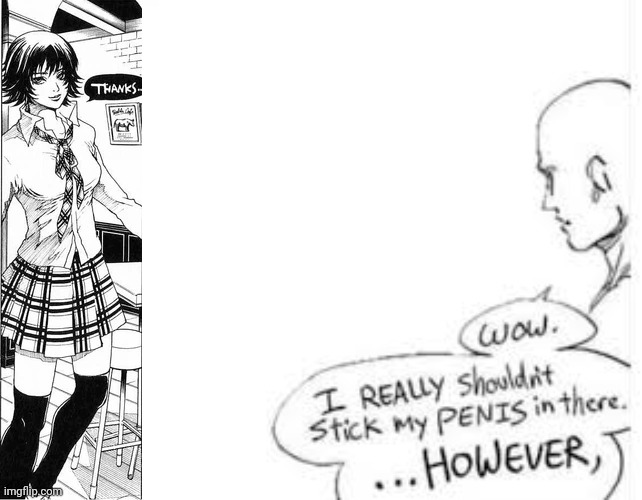 image tagged in lady dmc3,wow i really shouldn't stick my- | made w/ Imgflip meme maker