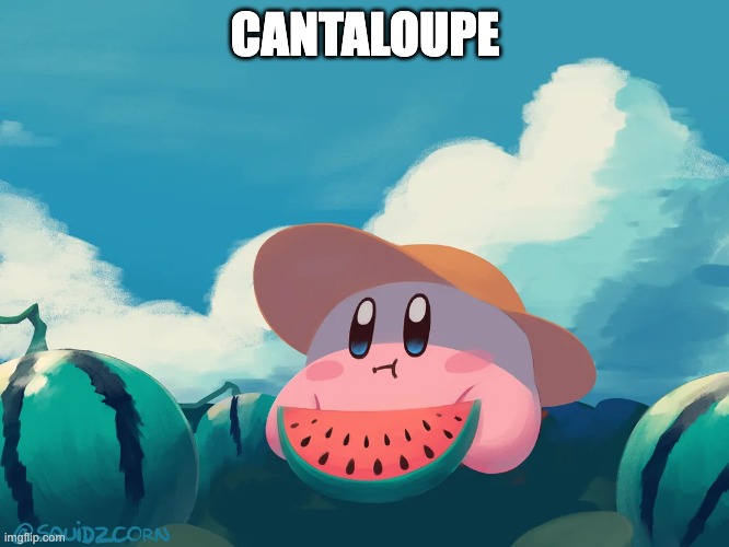 cantaloupe kirby | CANTALOUPE | image tagged in cantaloupe kirby | made w/ Imgflip meme maker