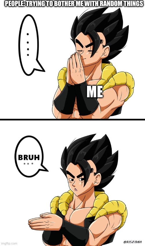 Gogeta Inhale Bruh | PEOPLE: TRYING TO BOTHER ME WITH RANDOM THINGS; ME | image tagged in gogeta inhale bruh | made w/ Imgflip meme maker