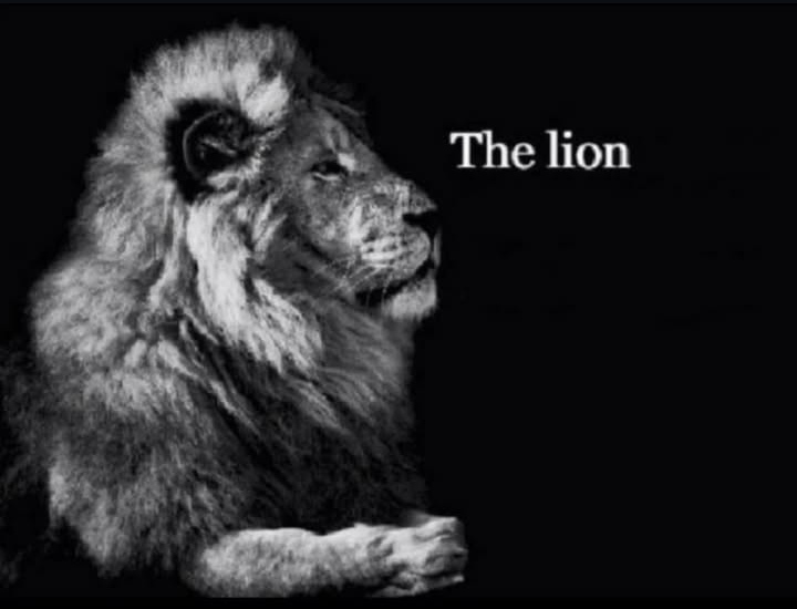 The lion Blank Meme Template