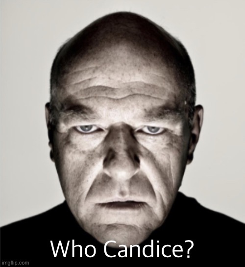 Dean Norris Mad | Who Candice? | image tagged in dean norris mad | made w/ Imgflip meme maker