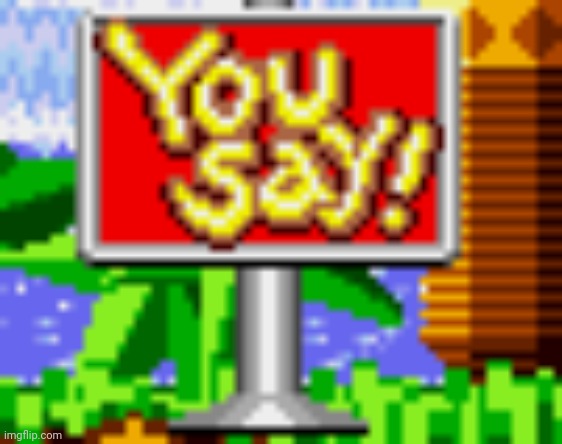 You Say! | image tagged in you say | made w/ Imgflip meme maker