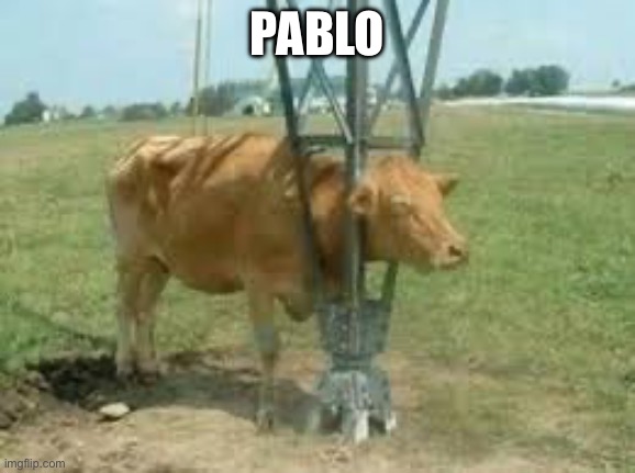 Pablo | PABLO | image tagged in mateo | made w/ Imgflip meme maker