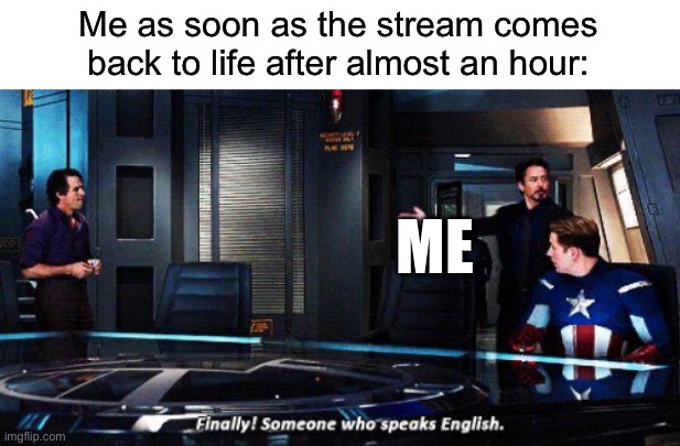 Finally someone who speaks english | Me as soon as the stream comes back to life after almost an hour:; ME | image tagged in finally someone who speaks english | made w/ Imgflip meme maker