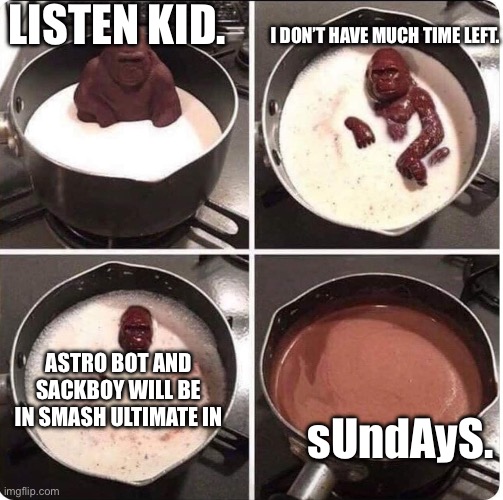 listen kid i dont have much time left | LISTEN KID. I DON’T HAVE MUCH TIME LEFT. ASTRO BOT AND SACKBOY WILL BE IN SMASH ULTIMATE IN; sUndAyS. | image tagged in listen kid i dont have much time left,super smash bros | made w/ Imgflip meme maker