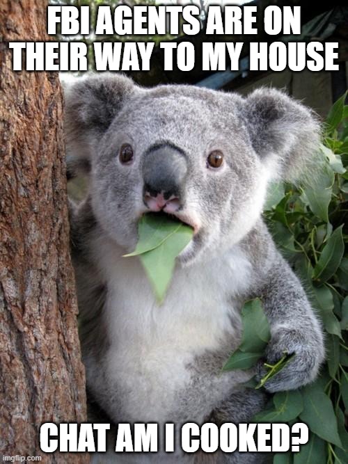 Surprised Koala | FBI AGENTS ARE ON THEIR WAY TO MY HOUSE; CHAT AM I COOKED? | image tagged in memes,surprised koala | made w/ Imgflip meme maker