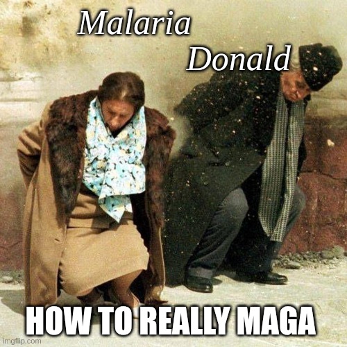 melanoma | Malaria                         Donald; HOW TO REALLY MAGA | image tagged in melania,convicted rapist | made w/ Imgflip meme maker