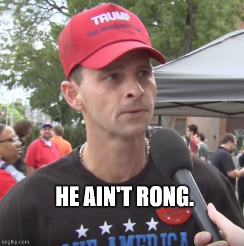 Trump supporter | HE AIN'T RONG. | image tagged in trump supporter | made w/ Imgflip meme maker