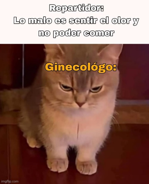 9rgnq5.jpg