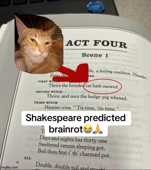 cat hath mewed | made w/ Imgflip meme maker