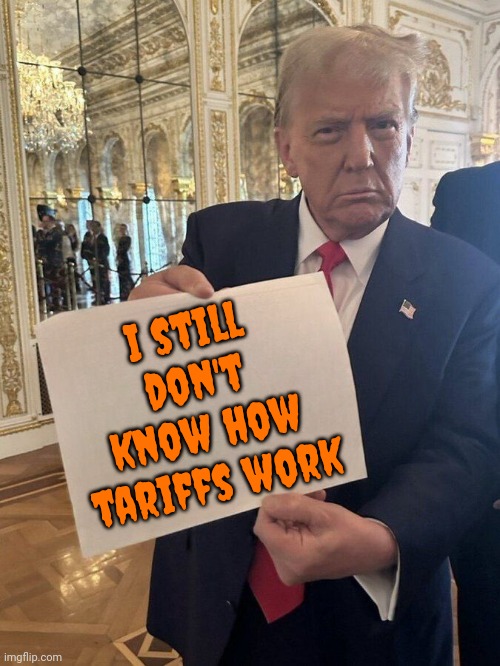 Duh | I still don't know how tariffs work | image tagged in trump holding facts,donald trump is an idiot,trump is a moron,trump is an asshole,maga,memes | made w/ Imgflip meme maker
