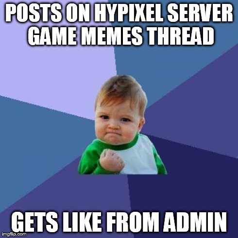 Success Kid Meme | POSTS ON HYPIXEL SERVER GAME MEMES THREAD GETS LIKE FROM ADMIN | image tagged in memes,success kid | made w/ Imgflip meme maker