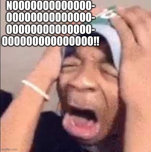 Flightreacts crying | NOOOOOOOOOOOOO-
OOOOOOOOOOOOOO-
OOOOOOOOOOOOOO-
OOOOOOOOOOOOOOO!! | image tagged in flightreacts crying | made w/ Imgflip meme maker