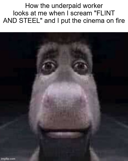 This meme format is kinda overrated tho | How the underpaid worker looks at me when I scream "FLINT AND STEEL" and I put the cinema on fire | image tagged in donkey staring,minecraft movie,chicken jockey | made w/ Imgflip meme maker