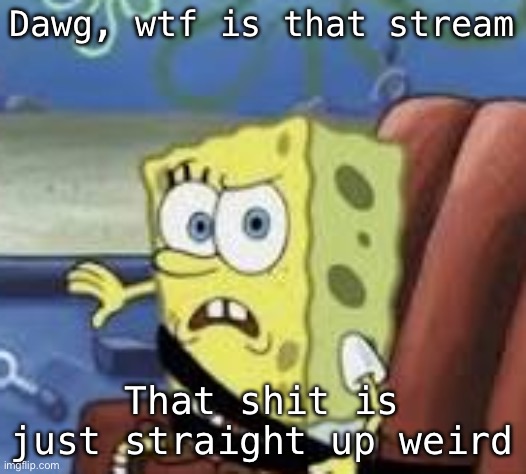 bro what | Dawg, wtf is that stream; That shit is just straight up weird | image tagged in bro what | made w/ Imgflip meme maker
