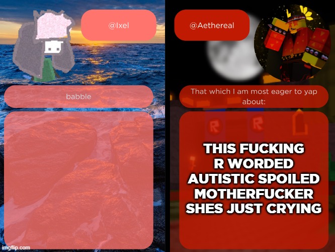 i hate peope liek that | THIS FUCKING R WORDED AUTISTIC SPOILED MOTHERFUCKER SHES JUST CRYING | image tagged in ixel and aethereal shared temp | made w/ Imgflip meme maker