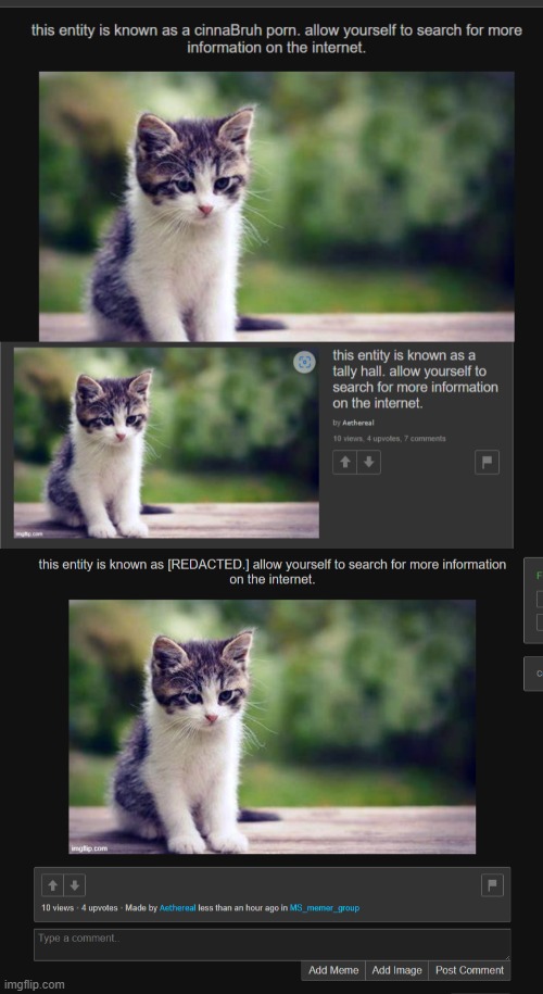 i am kindly asking waht sort of tomfoolery this is | made w/ Imgflip meme maker