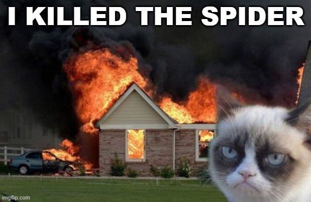 Burn Kitty | I KILLED THE SPIDER | image tagged in memes,burn kitty,grumpy cat | made w/ Imgflip meme maker