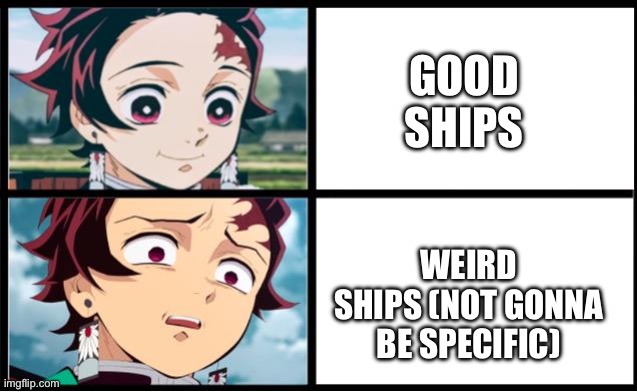 Tanjiro approval | GOOD SHIPS; WEIRD SHIPS (NOT GONNA BE SPECIFIC) | image tagged in tanjiro approval | made w/ Imgflip meme maker