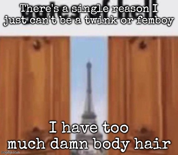 The gates of hell | There's a single reason I just can't be a twink or femboy; I have too much damn body hair | image tagged in the gates of hell,msmg | made w/ Imgflip meme maker