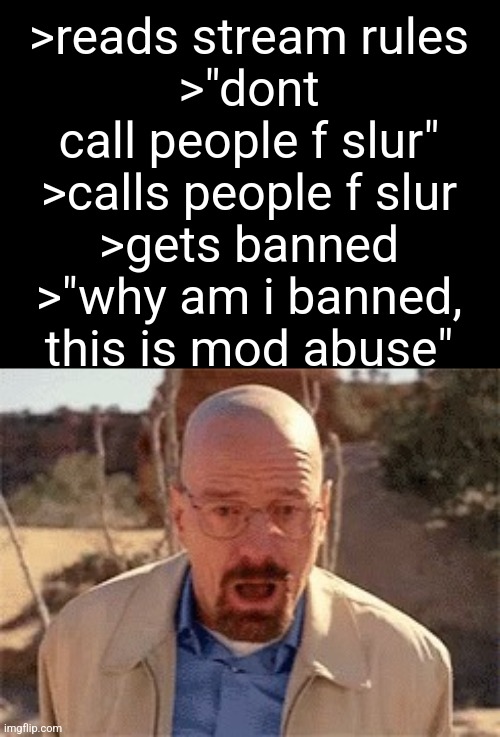 Walter White | >reads stream rules
>"dont call people f slur"
>calls people f slur
>gets banned
>"why am i banned, this is mod abuse" | image tagged in walter white | made w/ Imgflip meme maker