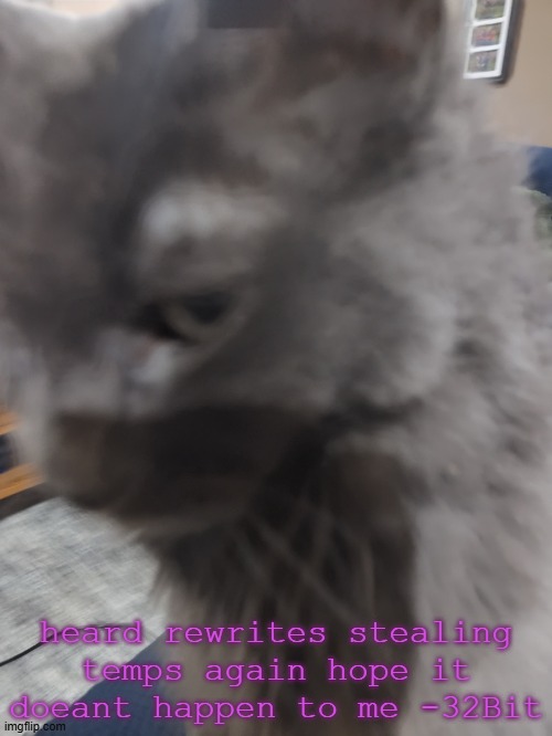 32's Cat | heard rewrites stealing temps again hope it doeant happen to me -32Bit | image tagged in 32's cat | made w/ Imgflip meme maker