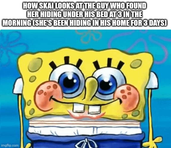 HOW SKAI LOOKS AT THE GUY WHO FOUND HER HIDING UNDER HIS BED AT 3 IN THE MORNING (SHE'S BEEN HIDING IN HIS HOME FOR 3 DAYS) | made w/ Imgflip meme maker