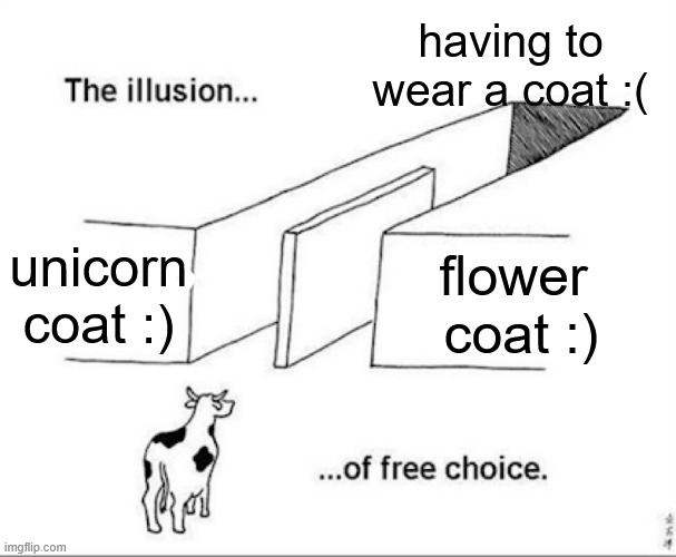 Illusion of free choice | having to wear a coat :(; unicorn coat :); flower 
coat :) | image tagged in illusion of free choice | made w/ Imgflip meme maker