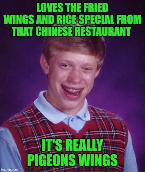 Funny | LOVES THE FRIED WINGS AND RICE SPECIAL FROM THAT CHINESE RESTAURANT; IT'S REALLY PIGEONS WINGS | image tagged in memes,bad luck brian,pigeon,wings,chinese food,delicious | made w/ Imgflip meme maker