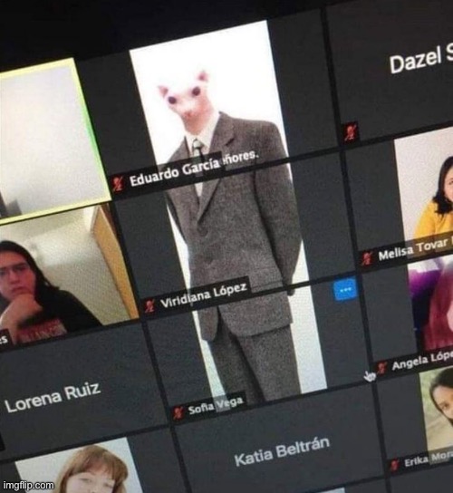 Bingus | made w/ Imgflip meme maker